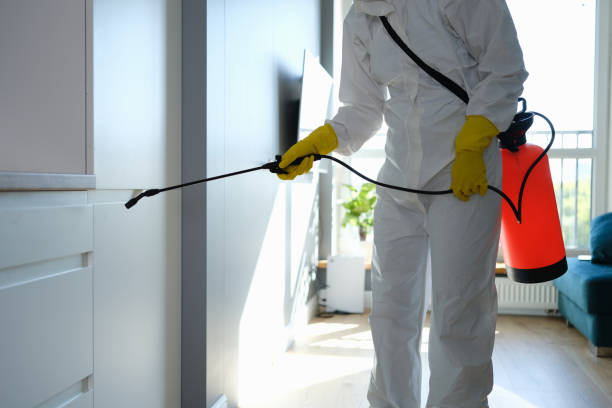 Best DIY Mold Remediation Support Services in Monroe Manor, NJ