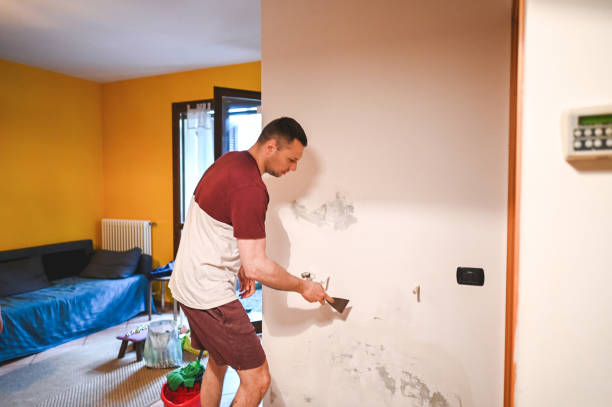 Best Basement Mold Remediation in Monroe Manor, NJ