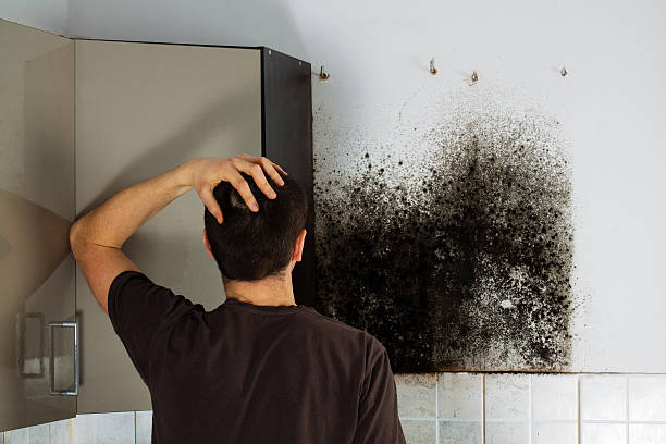 Best HVAC Mold Remediation in Monroe Manor, NJ